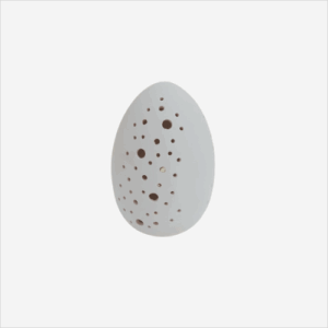 Egg